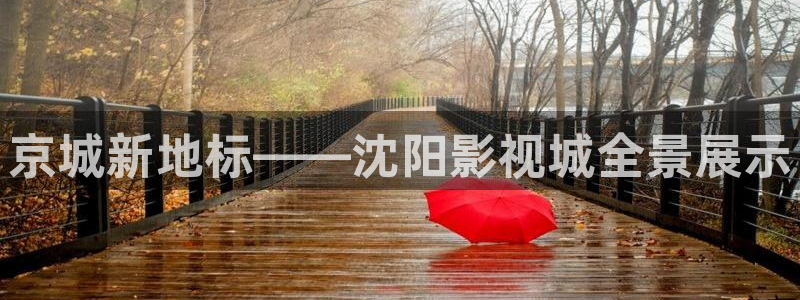 青苹果影视播放器
