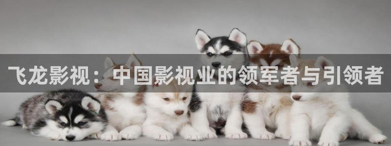 青苹果影院电视剧在线免费：飞龙影视：中国影视业的领军者与引领者